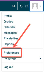 Preferences Menu Link